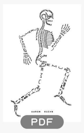 easy human skeleton diagram