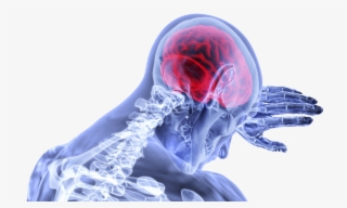 Special Monthly Compensation Series - Doenças Do Sistema Nervoso