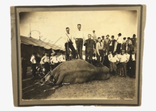 Vintage 1940 Dust Bowl Era Circus Elephant Shot Dead - Picture Frame