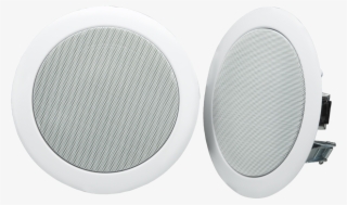 Ceiling Speaker - Subwoofer