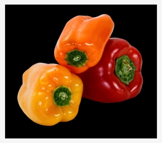 Derived From Plants Such As Fruits, Nuts, And Cereal - Capsicum Png