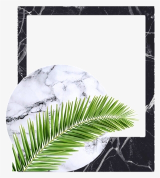 Plants Sticker - Picture Frame