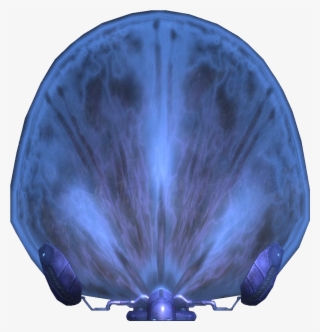 Covenant Portable Shield - Marine Invertebrates