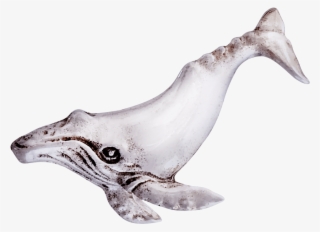 Humpback Whale Pin Creations, For Beauty, And Fun - Humpback Whale