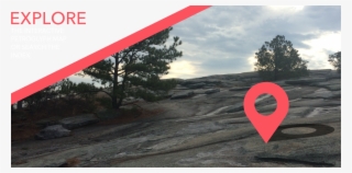 Stone Mountain Petroglyph Trail - Tree