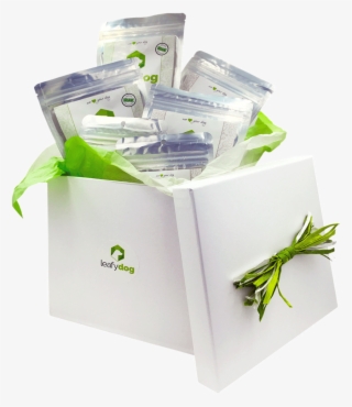 Giftbox-2