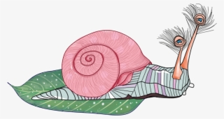 Snail Hand Drawn Animal Watercolor Png And Psd - Illustration