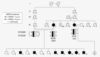 Pedigree Of The Rp Like/crd Like Family - Diagram