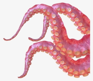 Tentacles Sticker - Giant Pacific Octopus