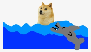 Doge - Shark - Hokkaido