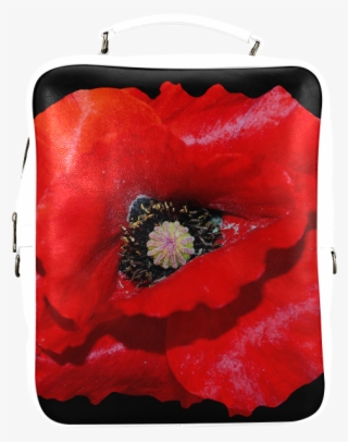 Coin Purse
