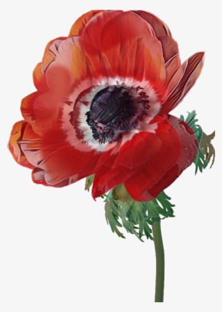 Poppy Sticker - Artificial Flower
