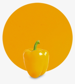 Yellow Pepper Puree - Yellow Pepper