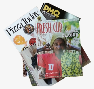 Selbysoft Advertises In These Magazines - Flyer