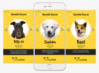 Mockup-snap - Companion Dog