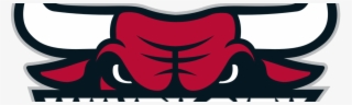 Are The Windy City Bulls For Real - Windy City Bulls Logo Transparent