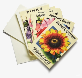 Heirloom Flower Seed Packet Note Cards $22 Girasoles, - 100 Things To Fit In A Bag