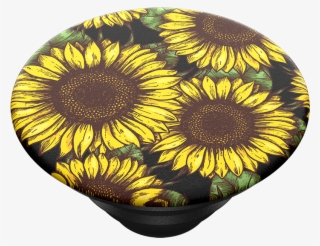Poder De Girasol, Popsockets - Fawn John Popsockets Popgrip Off White / None