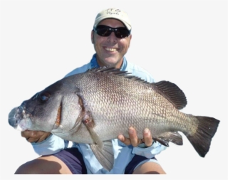 Andy Andysfishing - Pull Fish Out Of Water