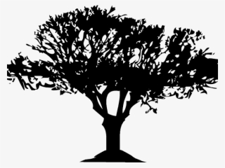 Bush Clipart Bunch Tree - Silhouette