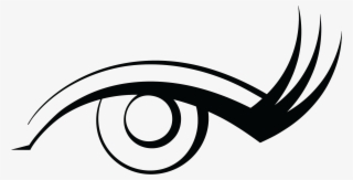 Stages Of Eyelash And Eyebrow Hair Growth - Line Art