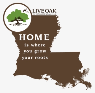 Contact Us - Map Of Louisiana