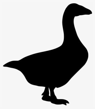 Download Png - Duck