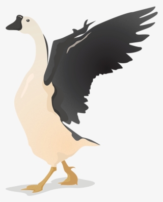 Flat Vector Birds - Goose