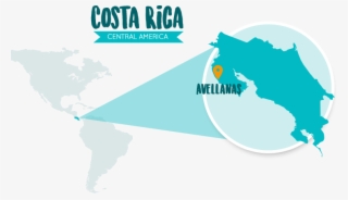 Avellanas Is Surrounding With Beautiful Beaches Like - Costa Rica Coffee Growing Regions