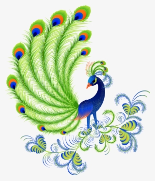 Cartoon Peacock Feathers - Peacock Beautiful Pictures Of Cartoon