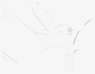 Sketch