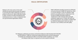 Notification - Halal Food