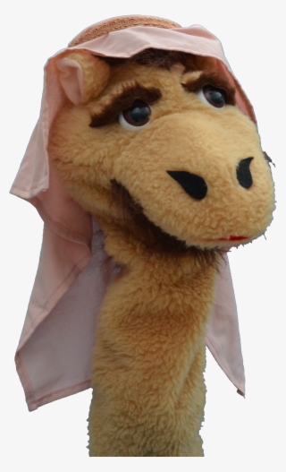 Cameron-alone - Working Animal