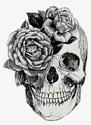 Skull Sticker - Anatomical Skull Tattoo
