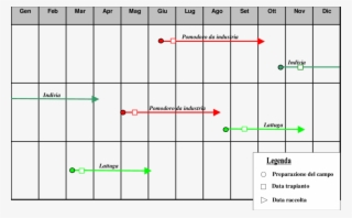 Calendario Delle Successioni Colturali Relativo Alla - Number