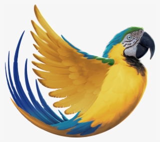 Sign Up To Join The Conversation - Macaw