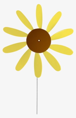 Sunflower - Black-eyed Susan