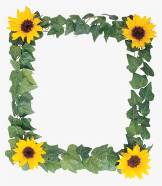 Discover Ideas About Sunflower Png - Frames Sunflowers Design Png