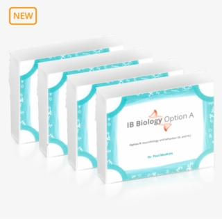 Ib Physics Flashcards