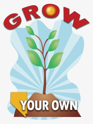 Grow Your Own, Nevada Is A State-wide University Of - Grow Your Own Vegetables Garden