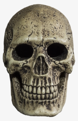 Skull Png - Skull