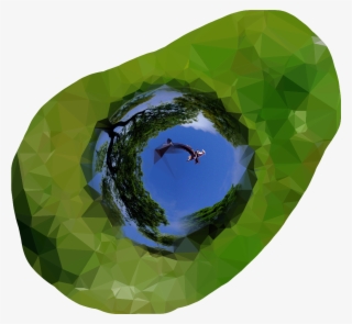 Aguacate Sticker - Reflection