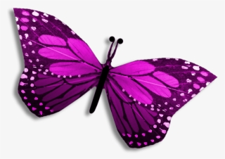 Purple Clipart Editing Picsart Butterfly Pretty Clipart - Swallowtail Butterfly