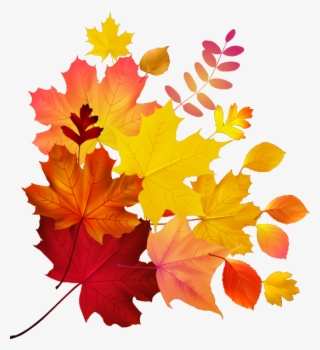 Autumn Color Leaf Maple Royalty-free Download Hq Png - بصيغة Png ملايين Hd Png
