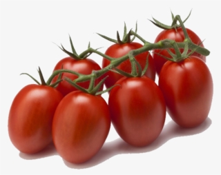 Tomates Cocktail Prunes En Grappe - Roma Tomaten Png