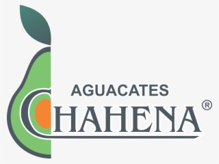 Aguacates Chahena Y Mas Sa De Cv