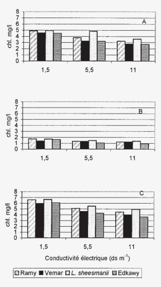 Teneur De 4 Génotypes De Tomate En - Technical Drawing
