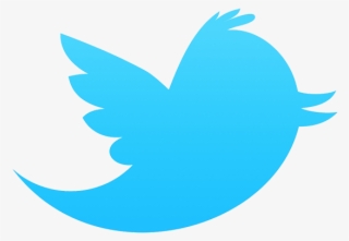 L'usage De Twitter - Twitter Png