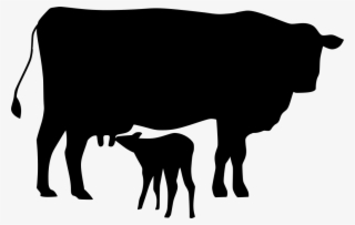 Download Png - Cattle