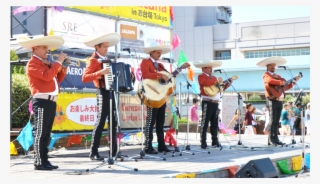 19th Fiesta Mexicana 2018 In Odaiba Tokyo 第19回fiesta - Drummer